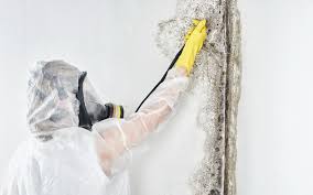 Best Mold Prevention Services  in Heartland, TX